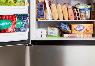 FREEZER_organization
