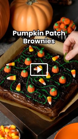 October-WebStory-Covers-PumpkinPatchBrownies