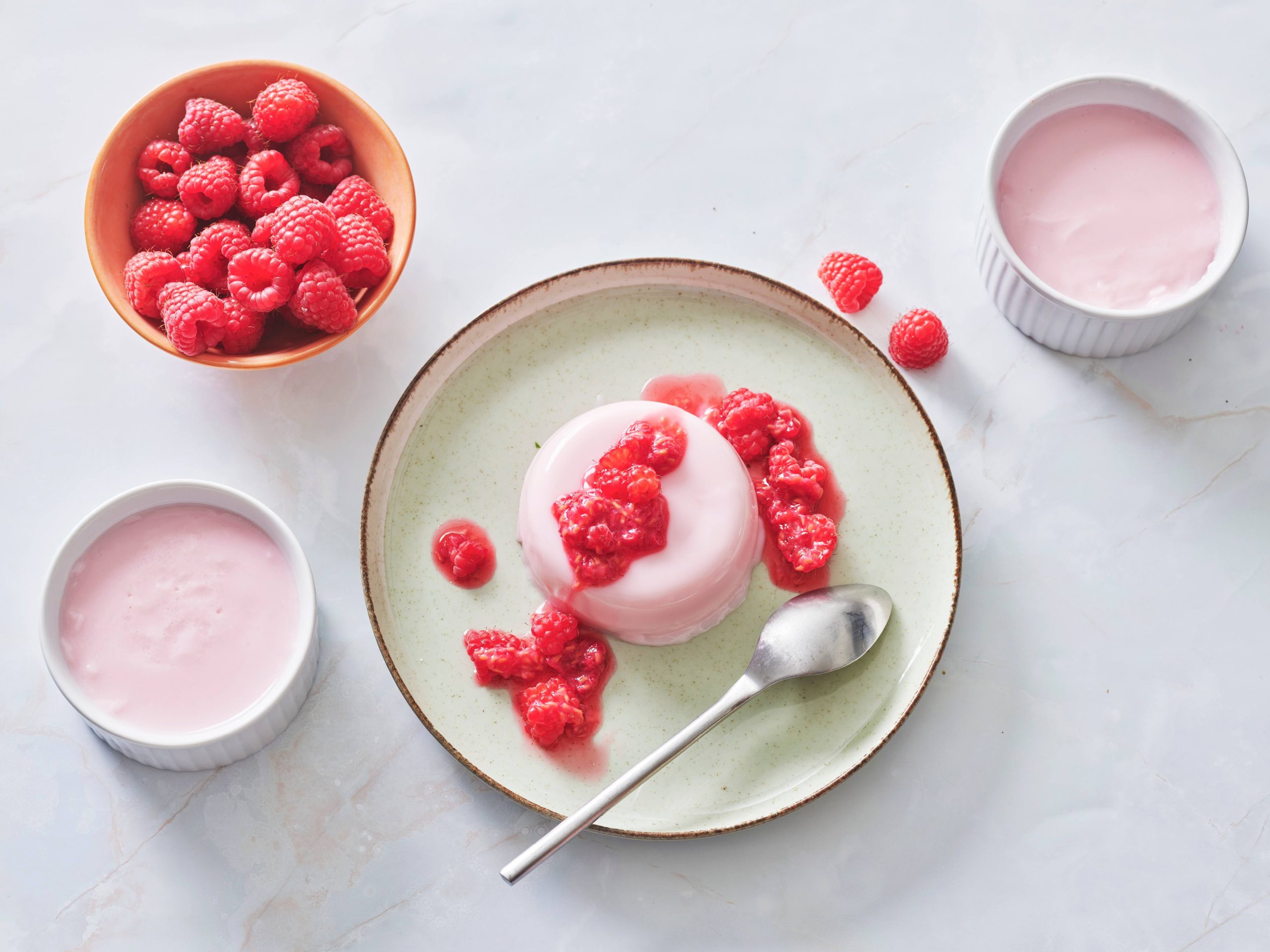 Kefir Panna Cotta | Savory