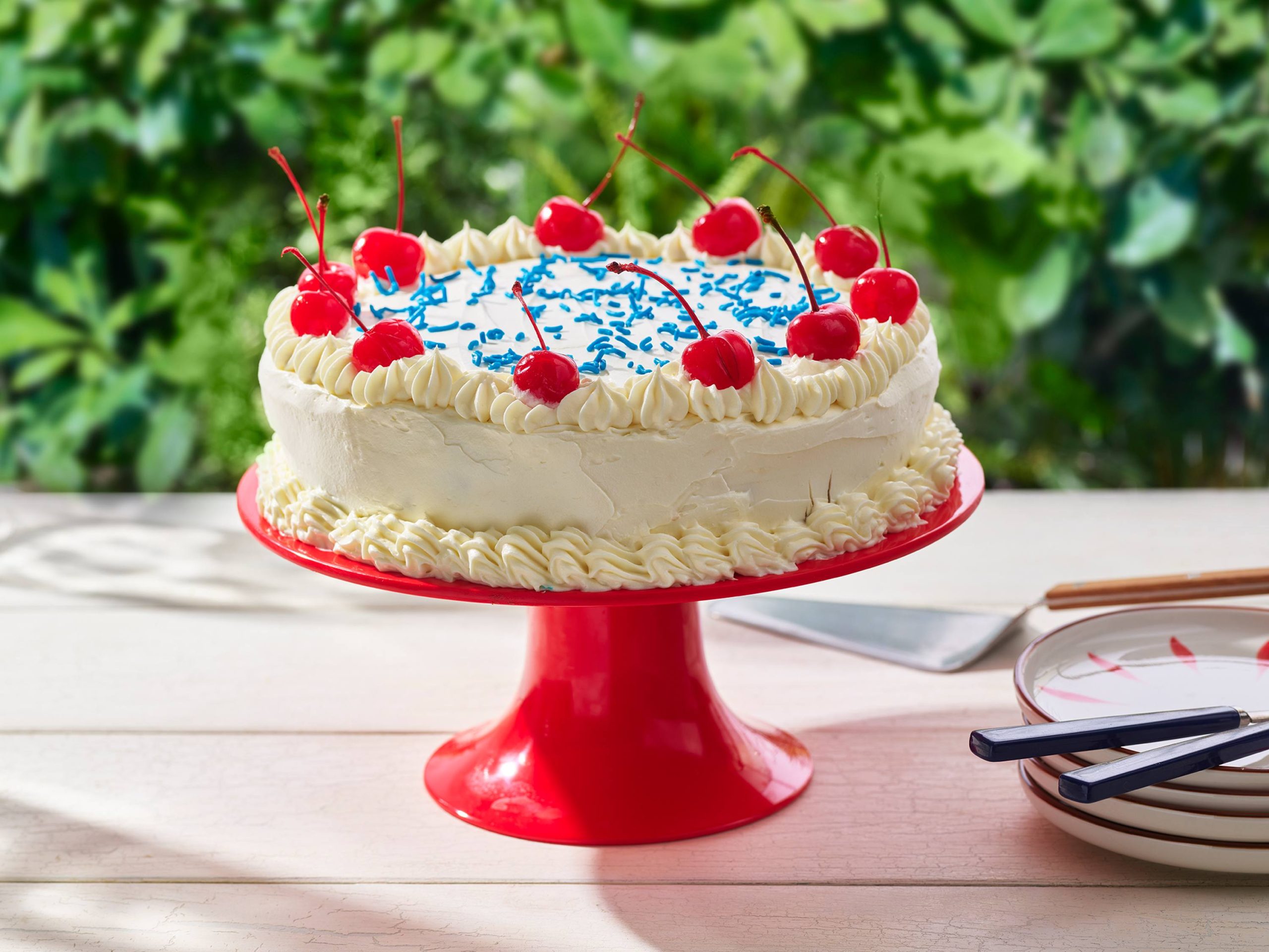 Homemade Ice Cream Cake | Savory