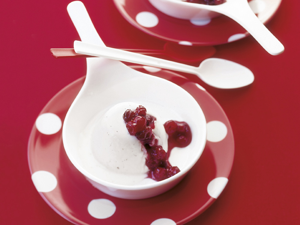 Vanilla Yogurt Panna Cotta with Cranberries | Savory