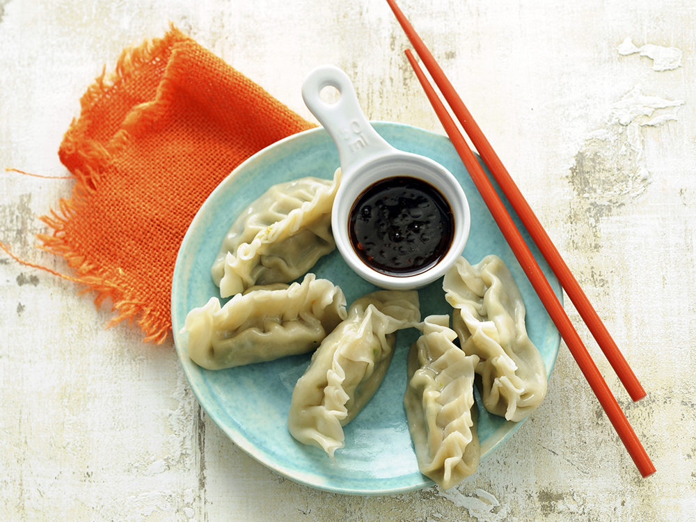 Turkey Dumplings | Savory
